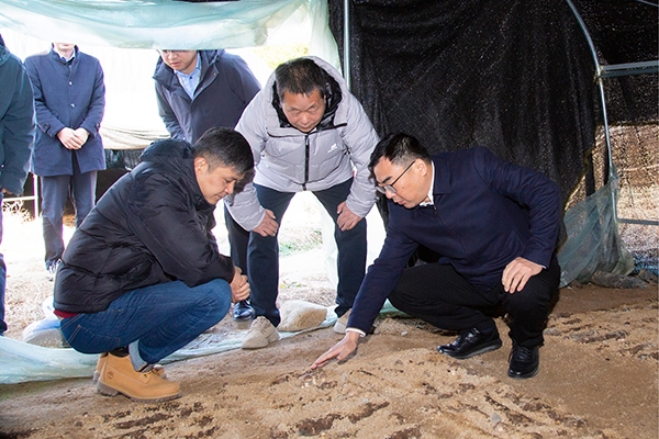 集團黨委副書記、總經(jīng)理朱勝利到大源村調(diào)研指導定點幫扶工作 集團黨委副書記、總經(jīng)理朱勝利到大源村調(diào)研指導定點幫扶工作
