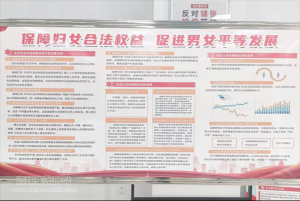 圖片8